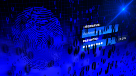 Fingerprint and password on computer screen