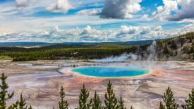 yellowstone national park