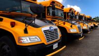 school buses lined up