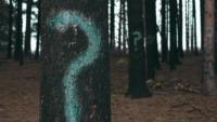 Question marks painted on trees