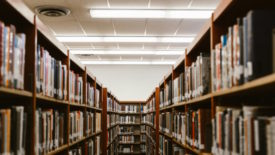 Wooden library shelves full of books