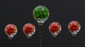 Green lightbulb surrounded by red lightbulbs