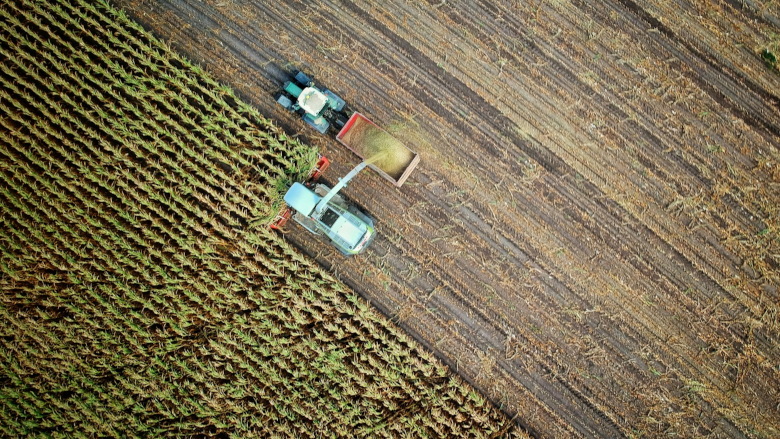 Addressing the wider cyber skills gap through the agriculture industry