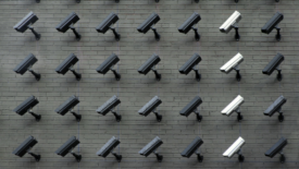 Rows of black cameras with one row of white cameras