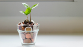 Potted plant with coins 