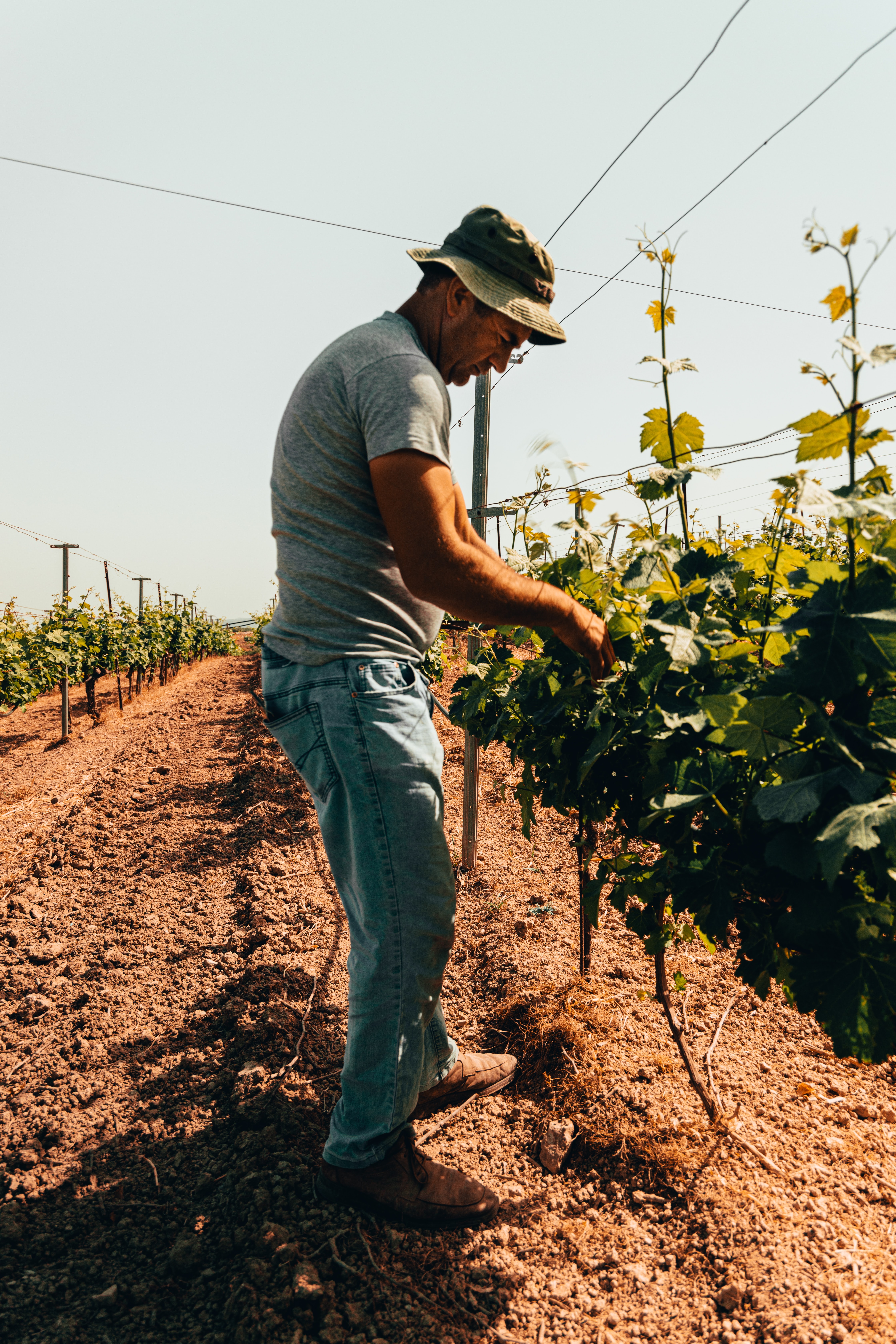 farm worker