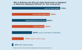 Negligent Data Loss: