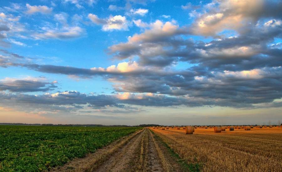 Agriculture companies and farmers faced at least .6 billion in uncovered losses in 2020 due to natural disasters