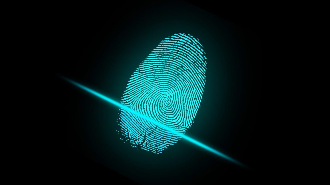 Fingerprint test что это за программа на андроид