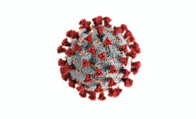 coronavirus